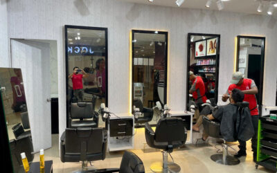 What Is a Bio Ethanol Plant? Uses, Benefits & Process Explained